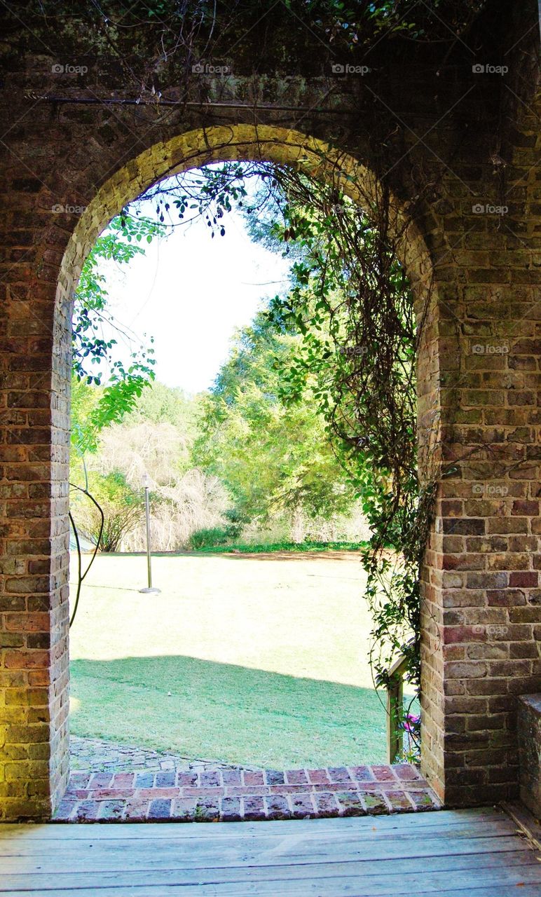 Archway to the Garden