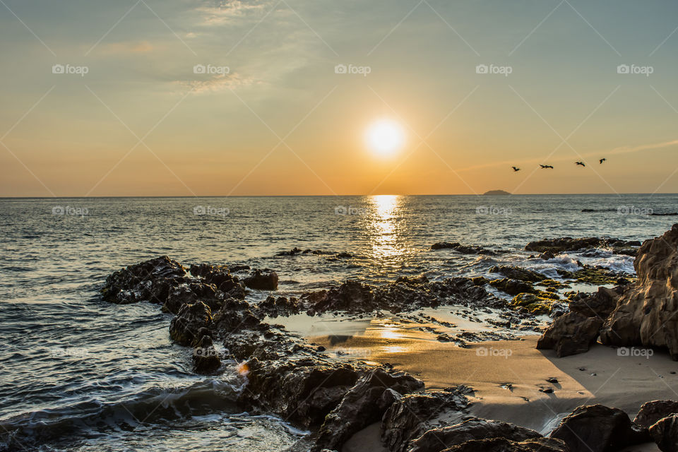 sunset pelican flight