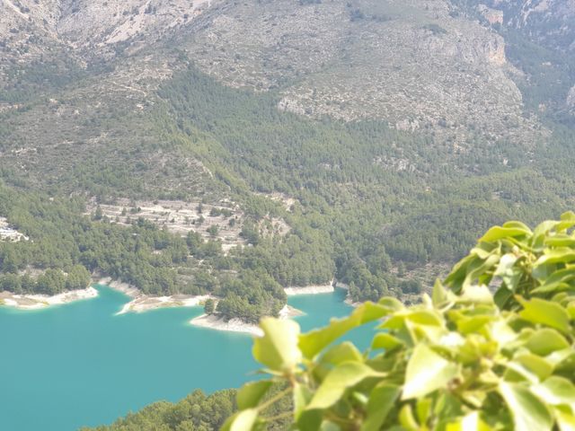 Forest#nature#plants#trees#mountain#lake#leaves