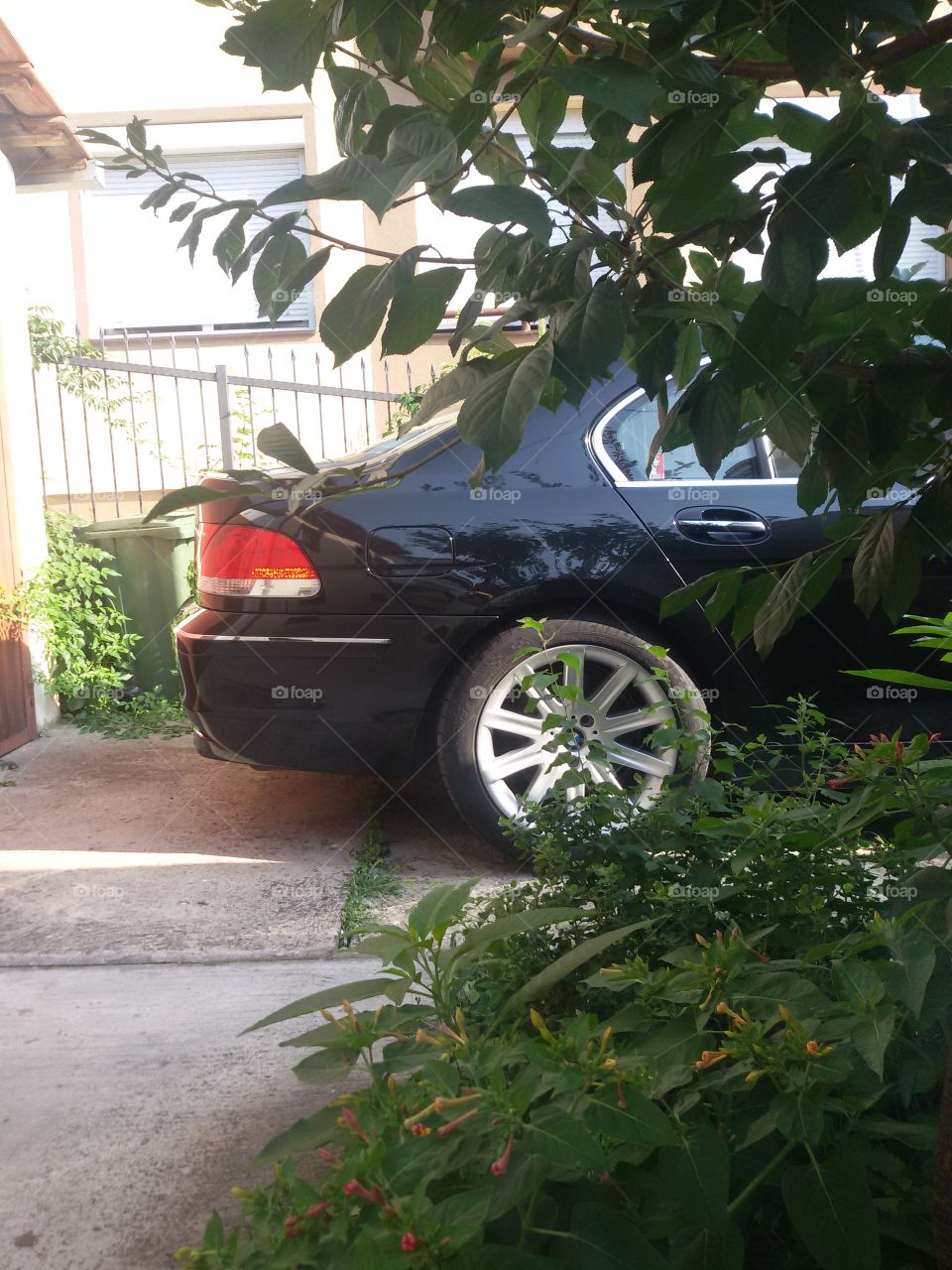 BMW 7 series in the garden