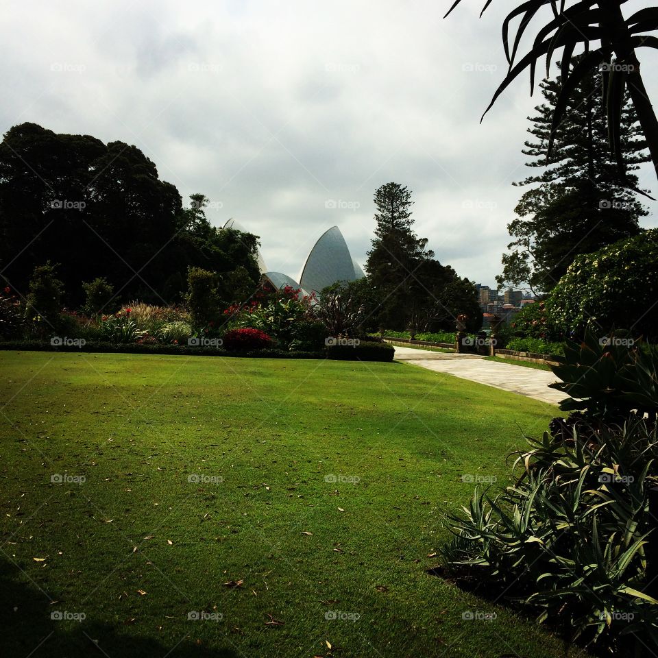 With view of opera house