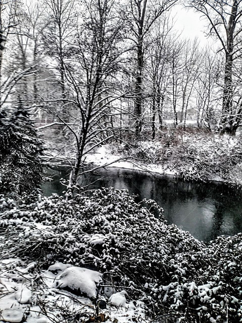 A scenic, snowy river with tree limbs laced with snow and under growth covered with newly fallen snow, shown in black and white.