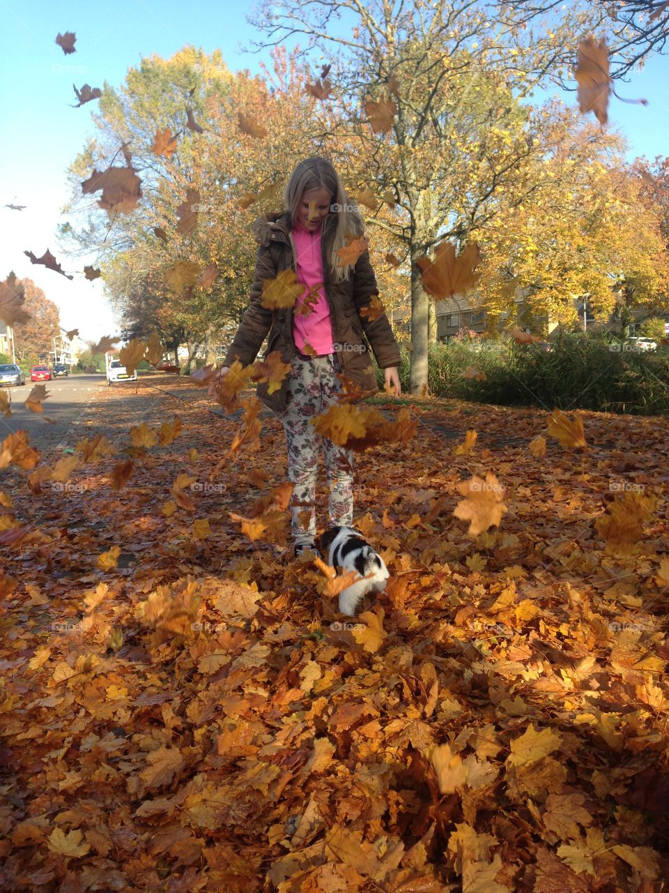 Girl and dog playing with autumn leaves