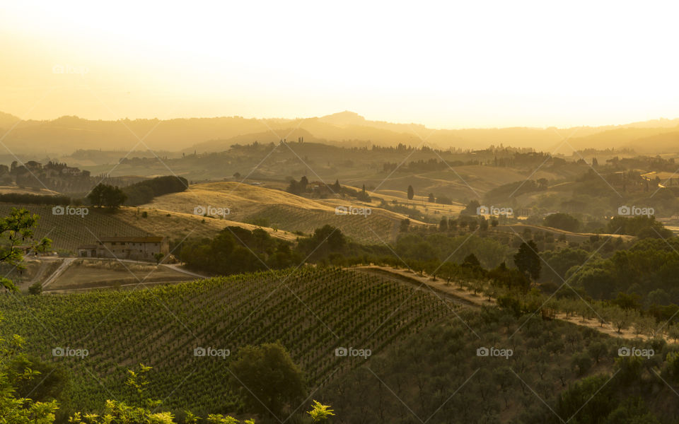 Tuscany & Marche