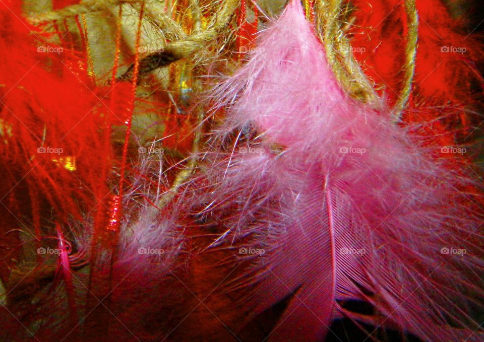 Pink and Red Feathers