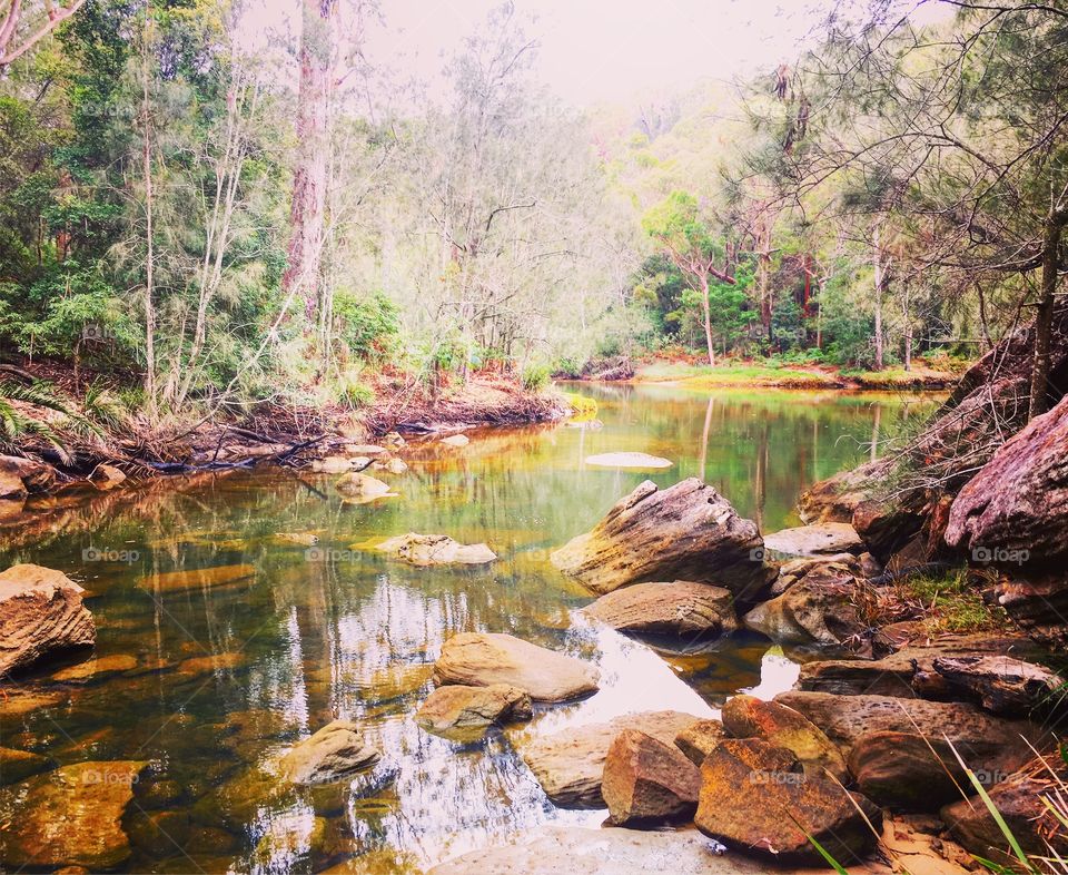 Down at the creek on the Hawkesbury in Australia 