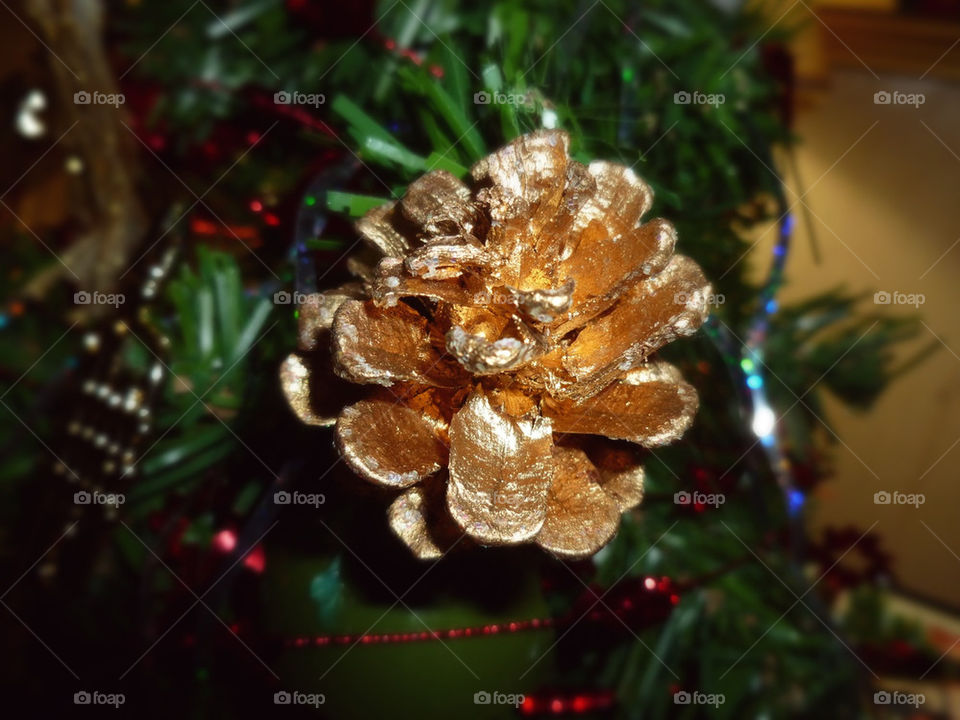 Gilded pine cone