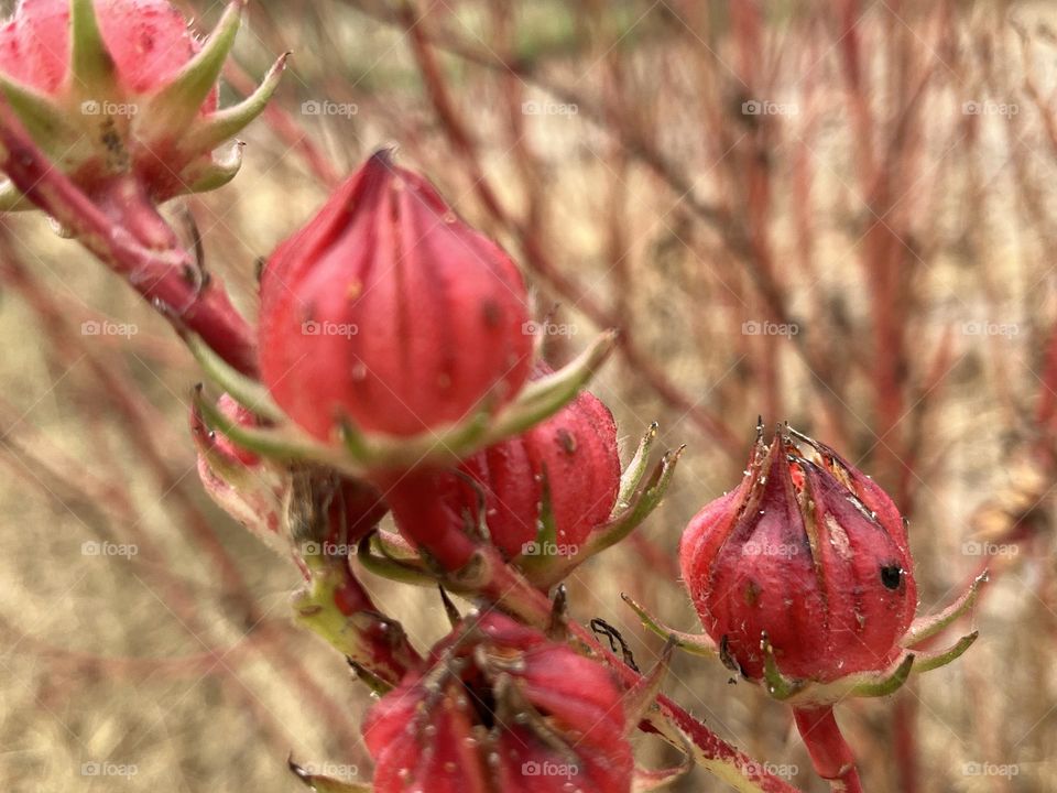 📷 Color Explosion