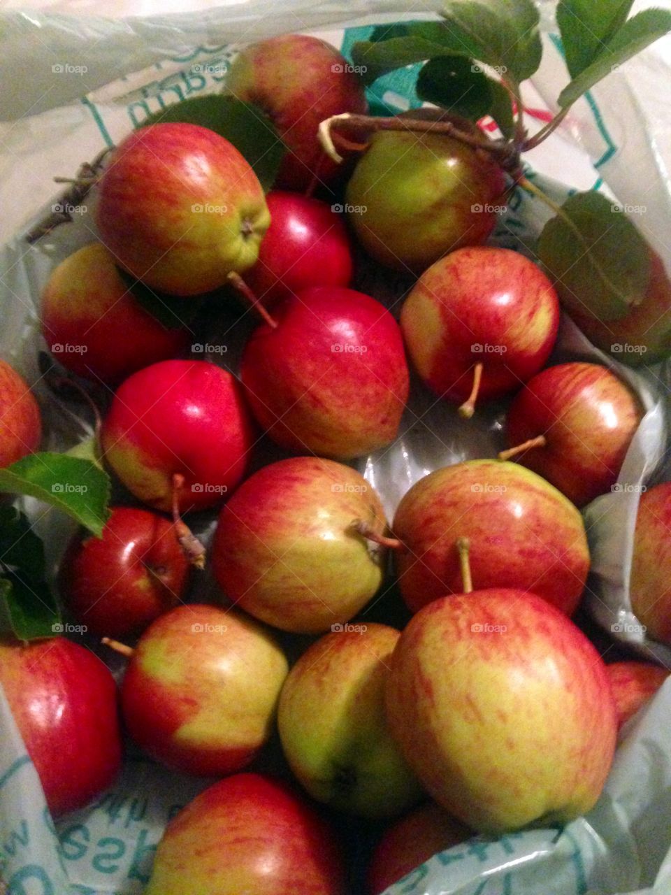 freshly picked apples