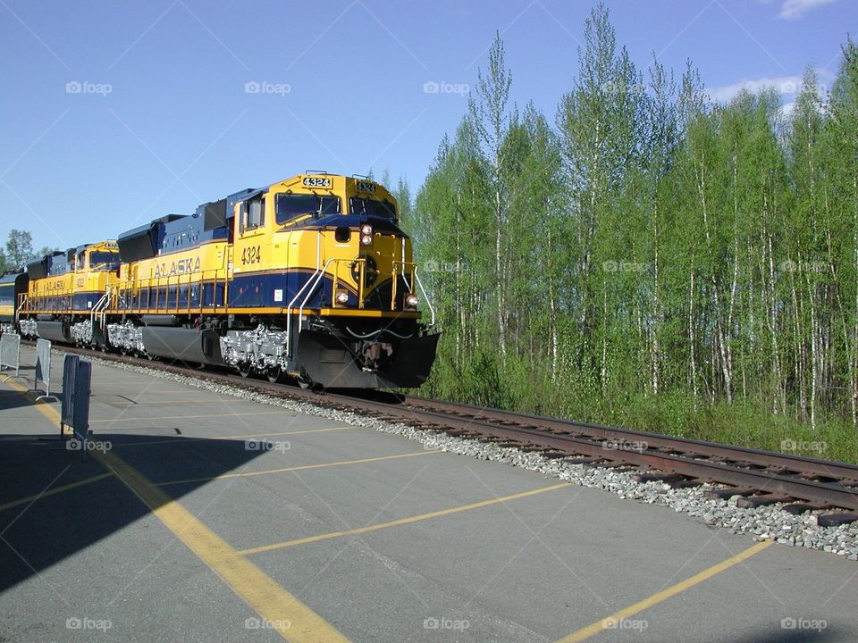 train