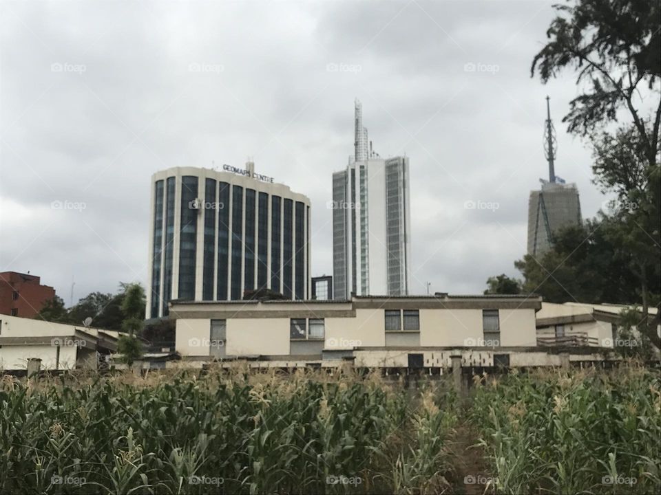 Architecture built structure building exterior sky Cloud Plant building Nature City landscape skyscraper Tower block in Nairobi Kenya