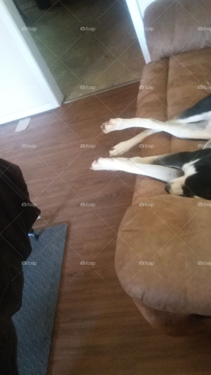 not a care in the world