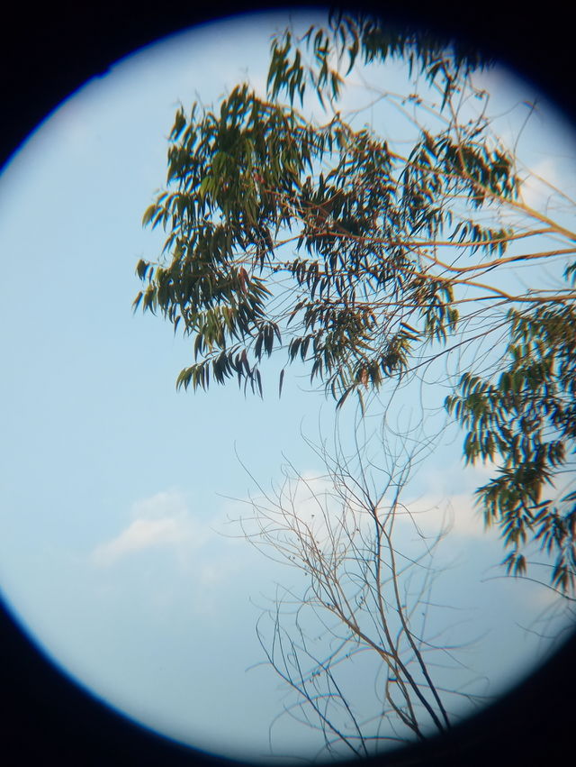 zoom