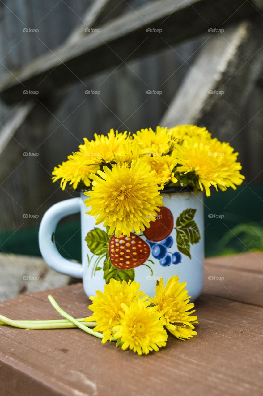 One of the symbols of the blooming spring are cheerful yellow dandelions. These flowers scatter on the grass like bright sparks of the molten sun, cover glades and lawns with a golden carpet and fill the heart with quiet, serene joy
