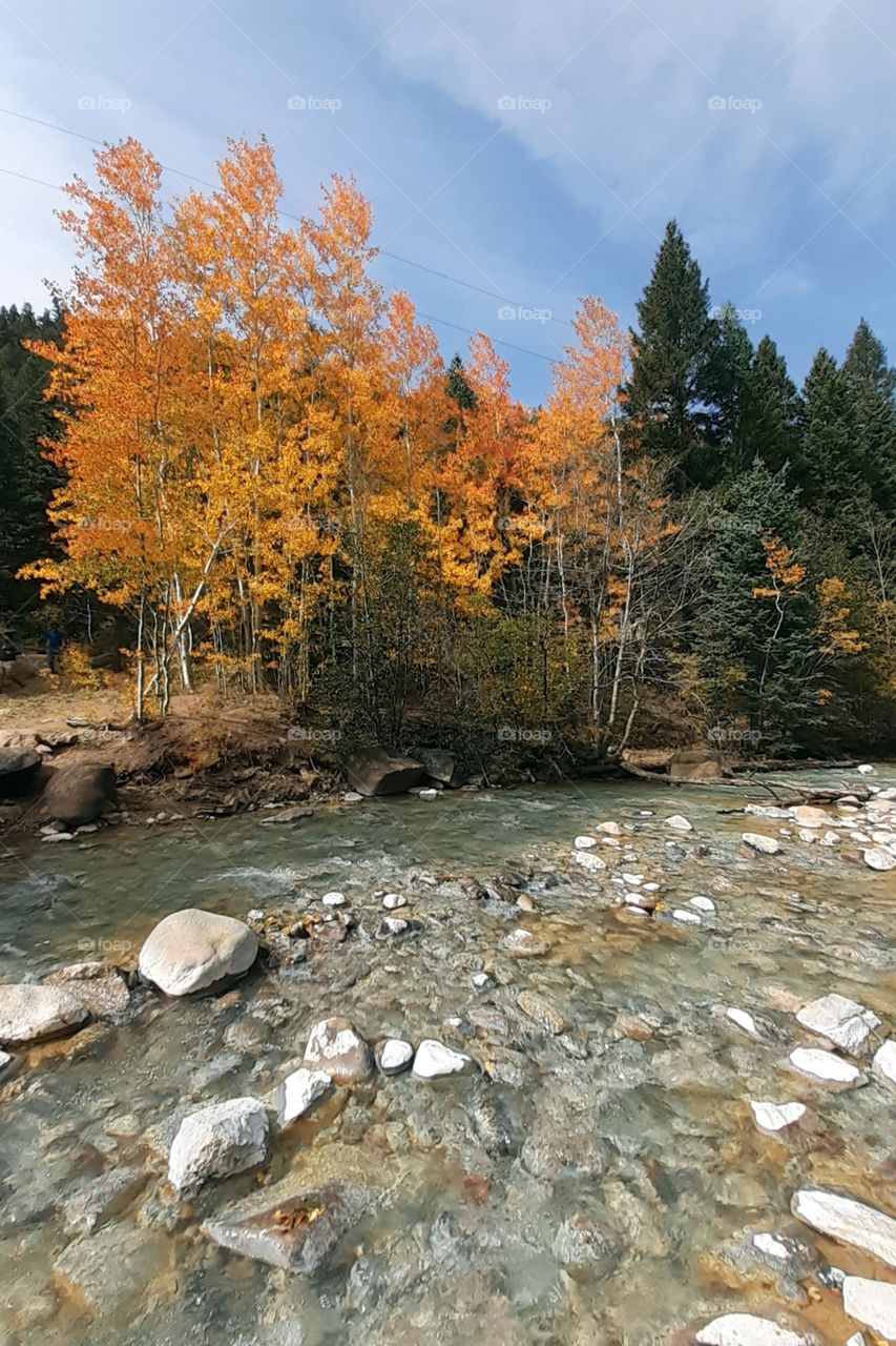 Colorado stream in fall
