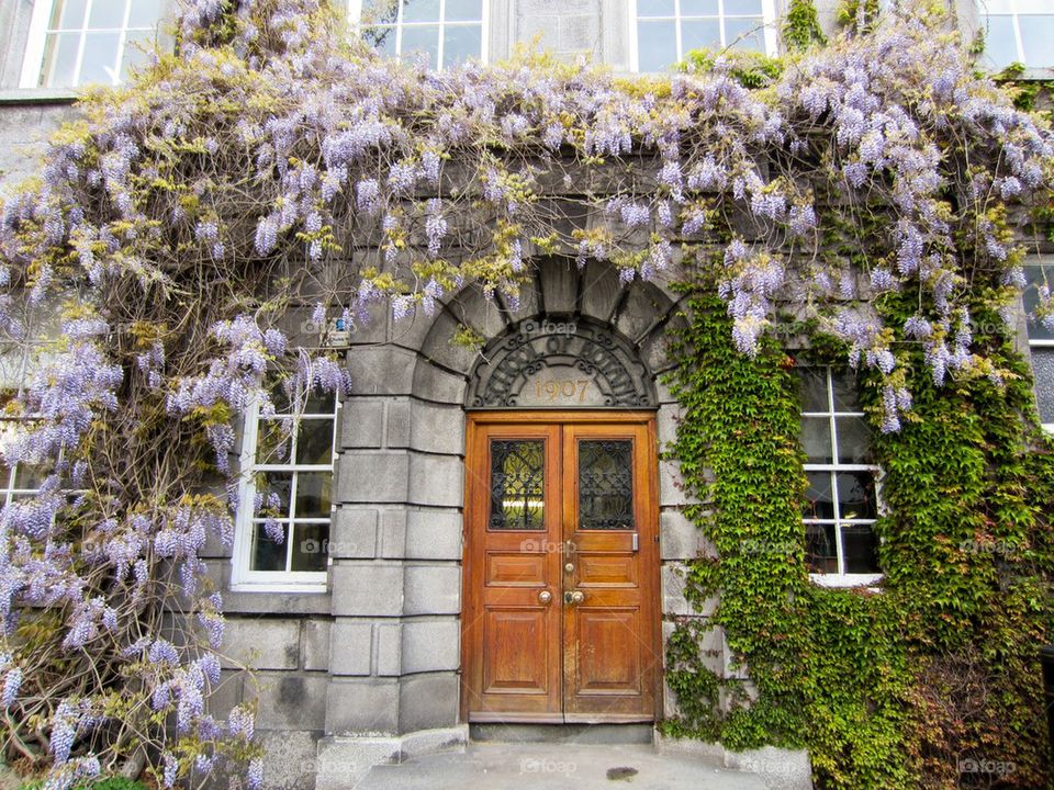 Trinity college