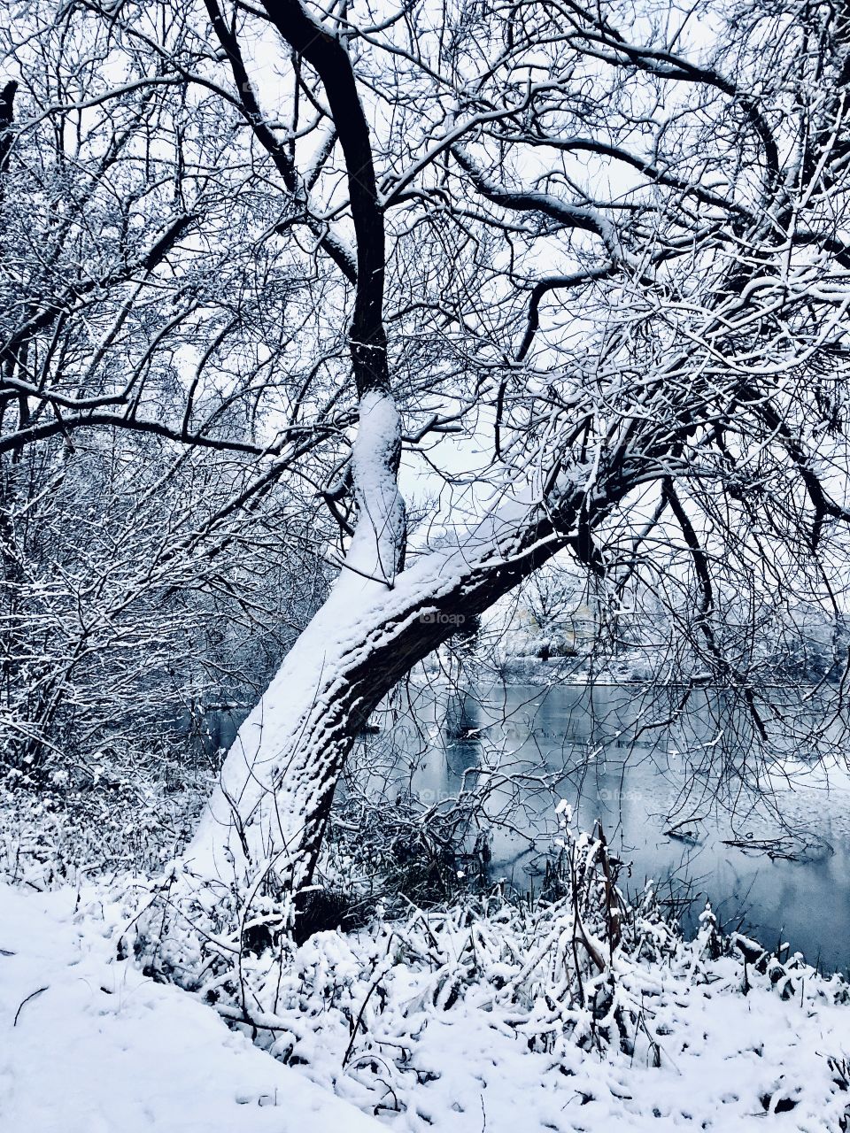 Over And Under The Snow.
