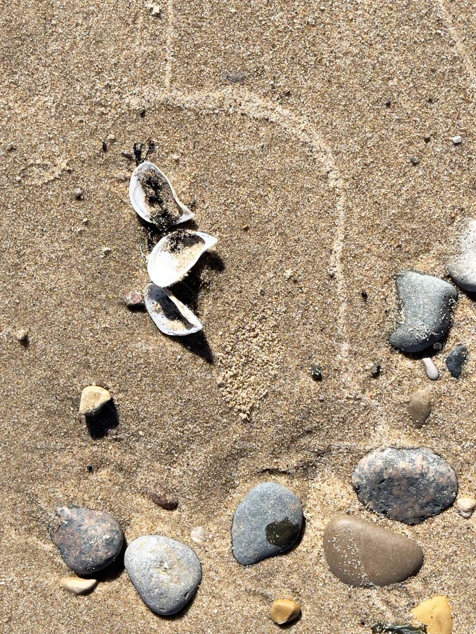 Smooth stones shells on Lake Huron Michigan USA sandy beach from above, brown sand, space for text