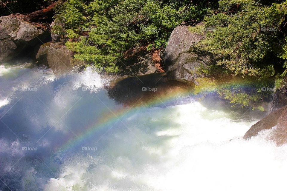 Whitewater rainbow 