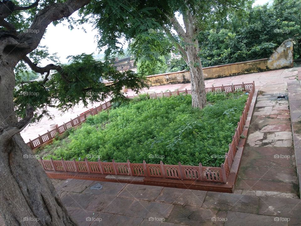 a small garden from my point of view .