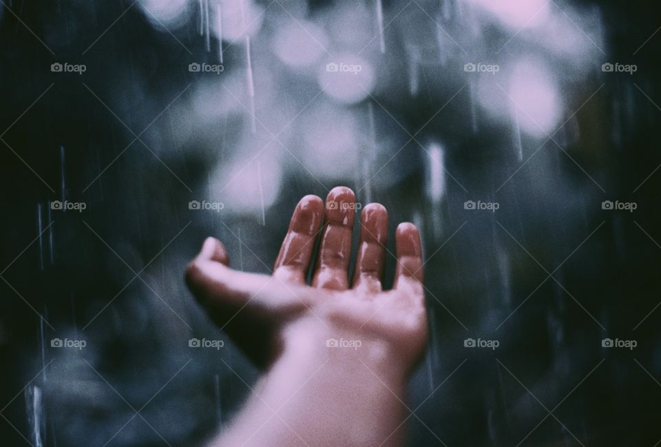 Photos may be the last thing left.  On the day of fading memories