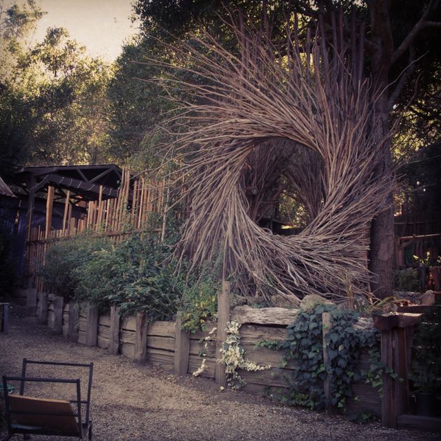 Nest