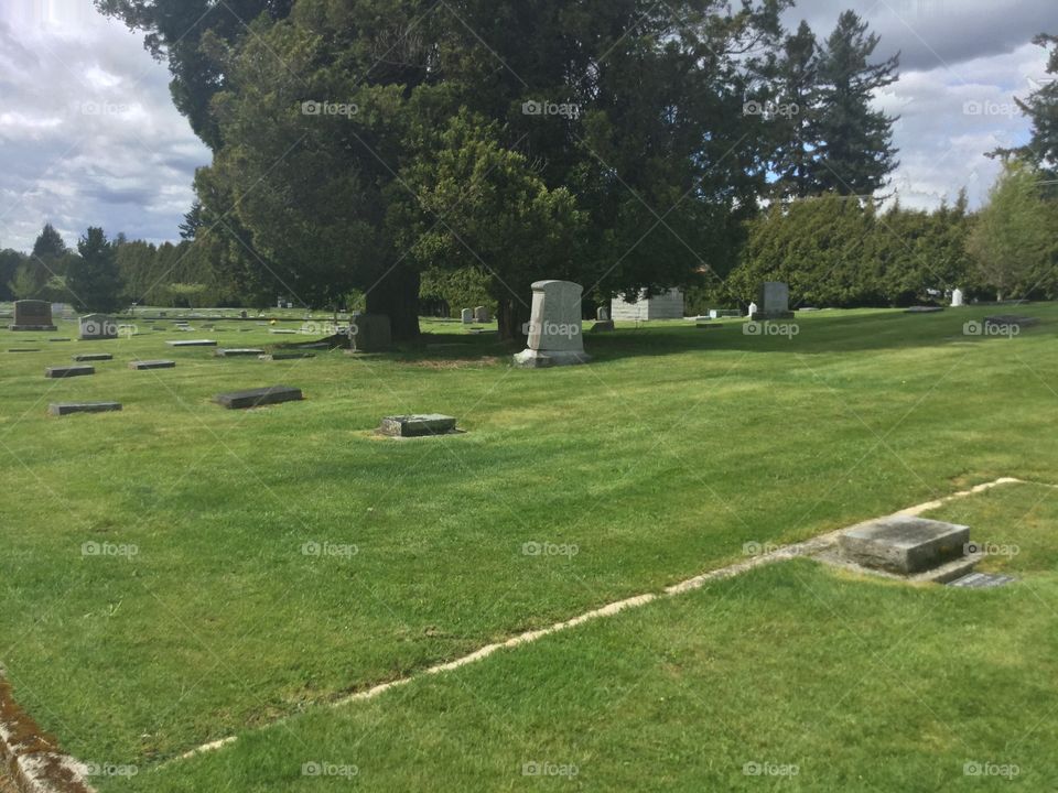 Headstones and Trees in Hazelwood Cemetery 