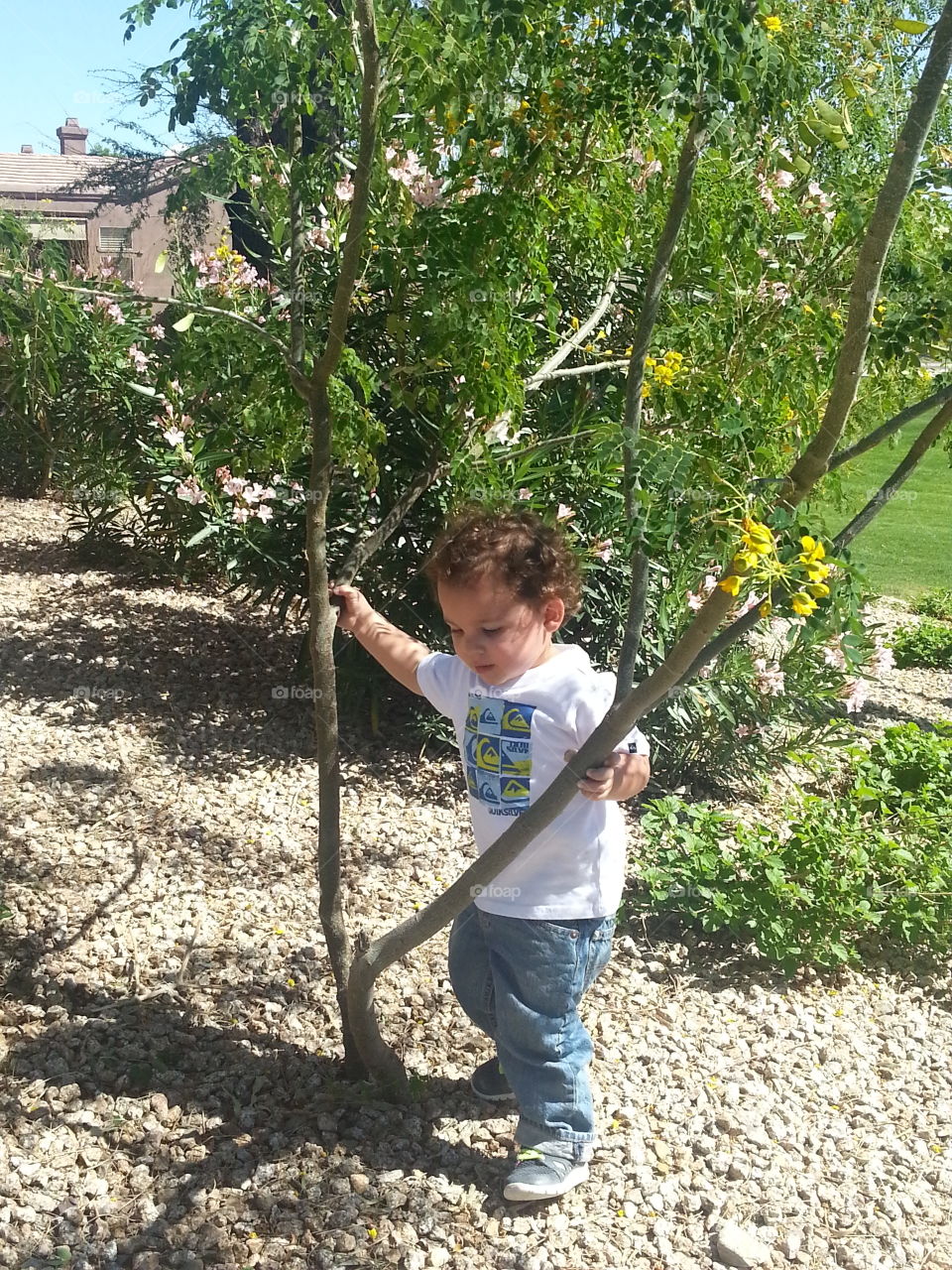 Boy playing in park.