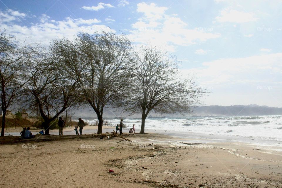 Beach with Acacia trees 