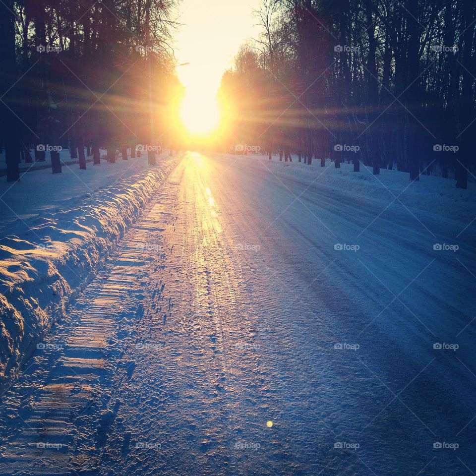 Winter Forest . winter forest road in the sunset