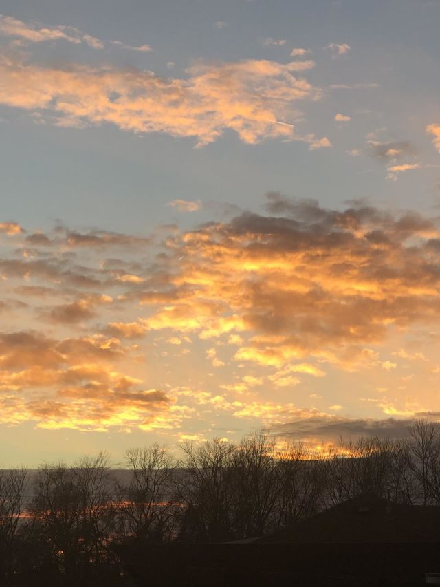 Backyard Sunset