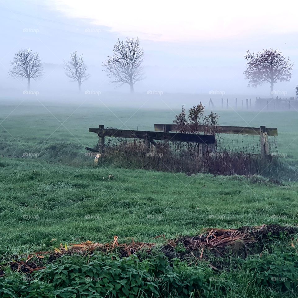 Mist in the Netherlands in the early morning.