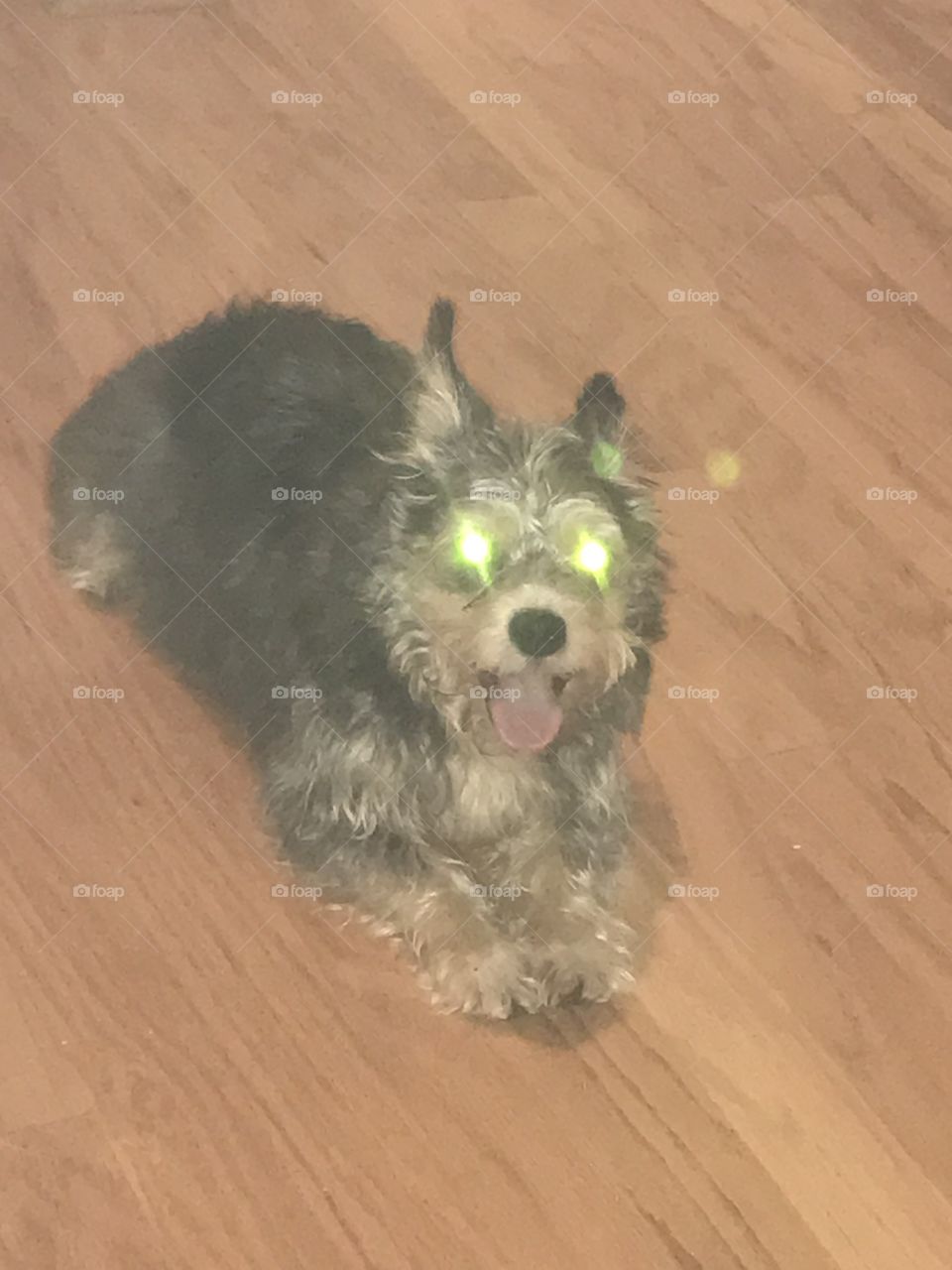 Laser eyes