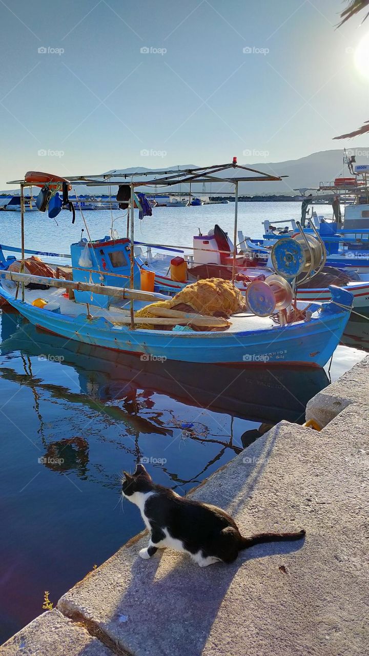 A relaxed thinker at the peaceful harbor.