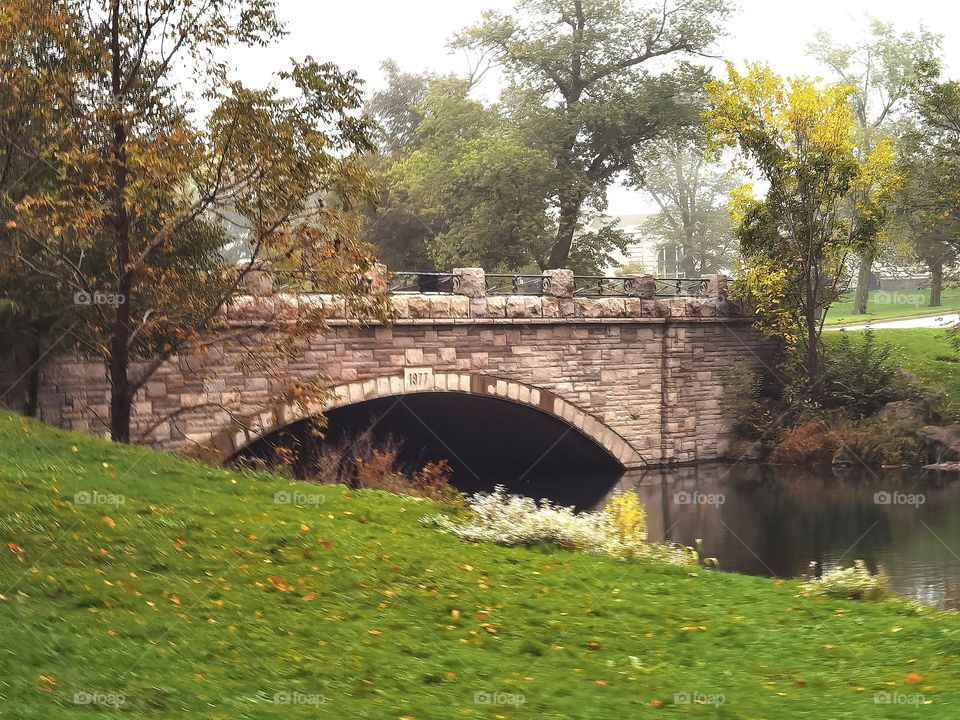 Bridge in the park ..