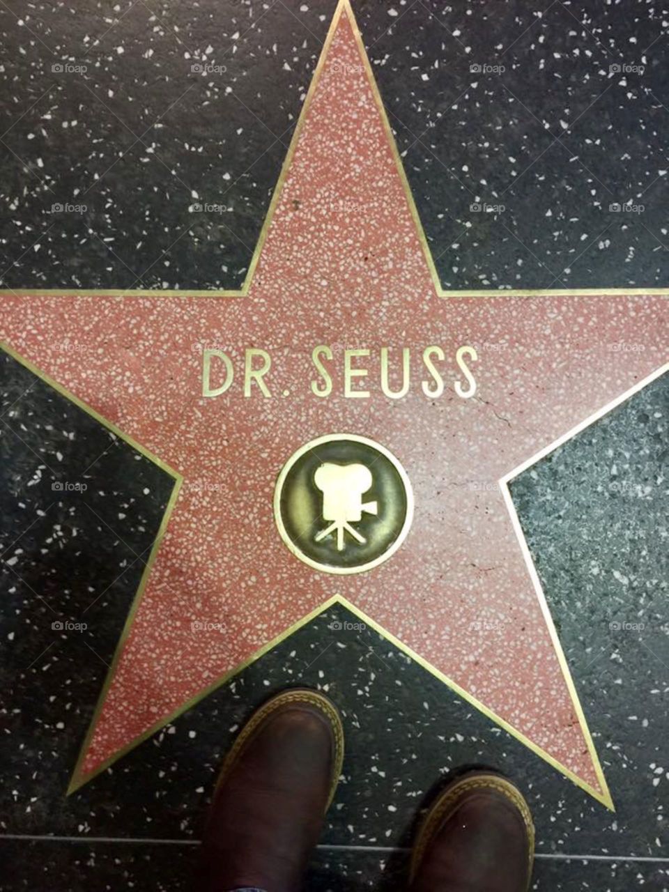 Stars on the walk of fame