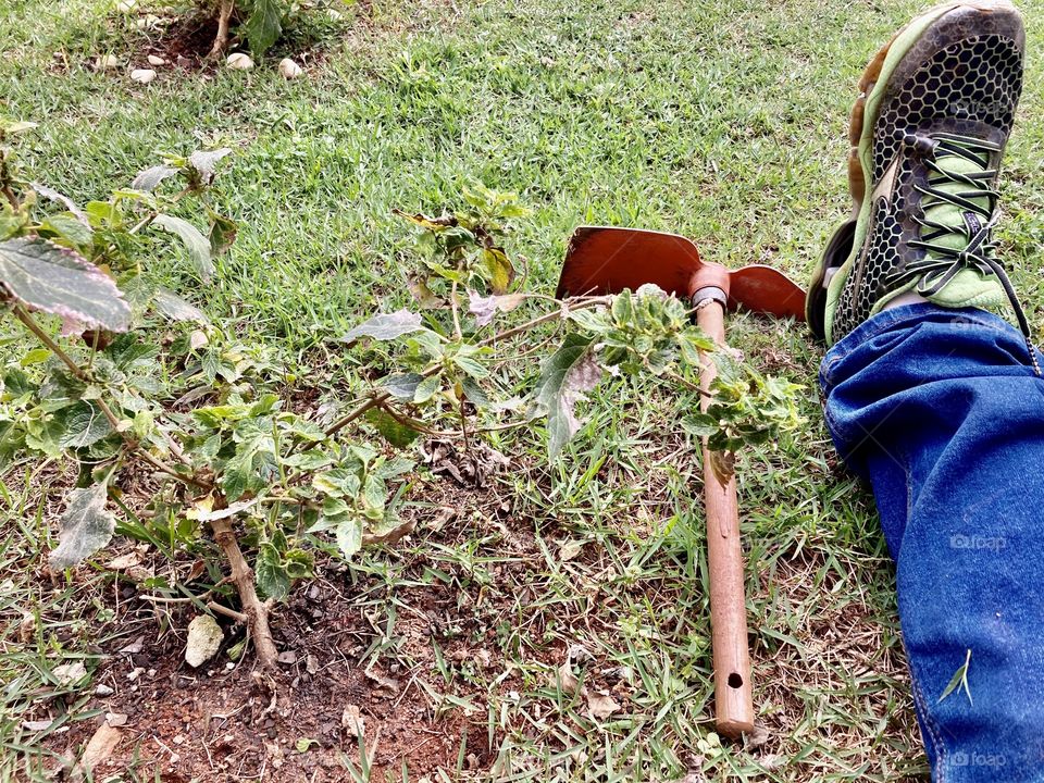 Gardening time.  Get your hoe and let's weep!  In fact, I love being in the woods. / Hora da jardinagem. Pegue sua enxada e vamos carpir! Aliás, amo ficar no meio do mato. 