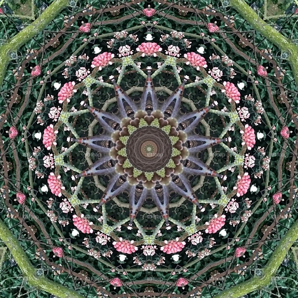 natural mandala