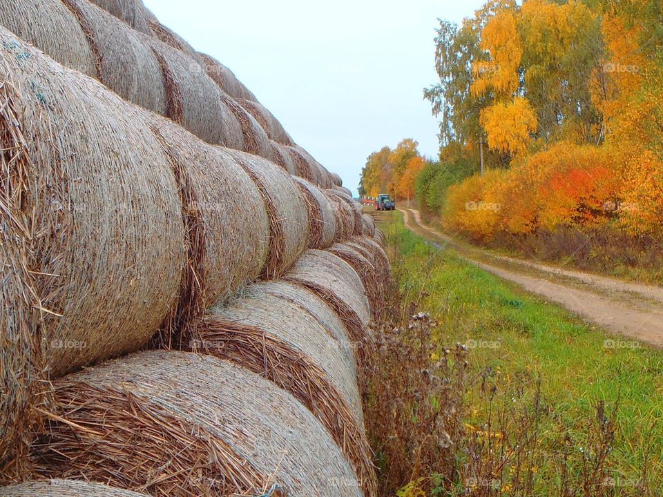 The straw wall