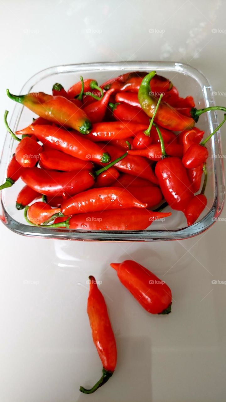 Pimentas vermelhinha, forte no sabor,  mas tem quem aprecia.