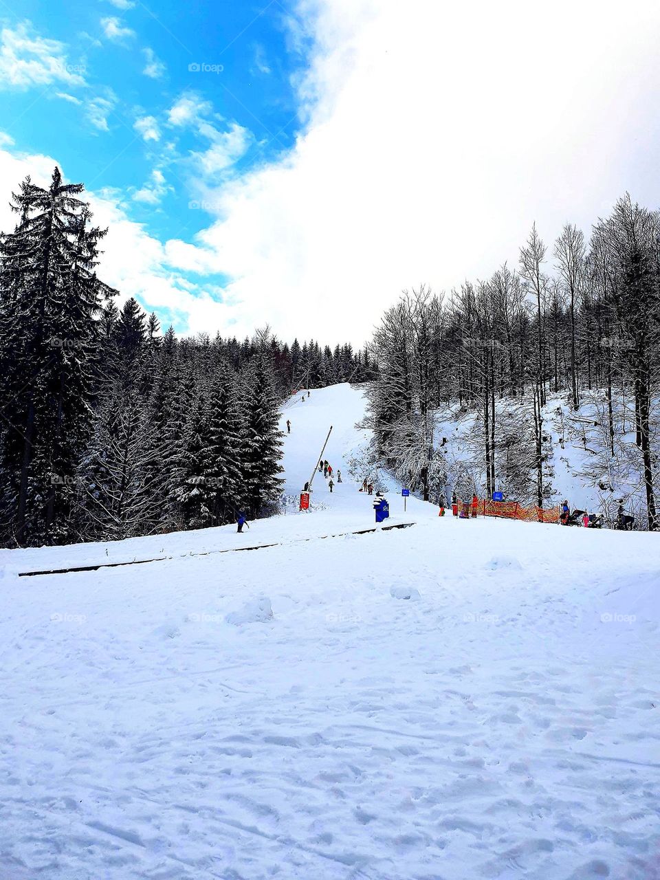 Winter.  Ski slope surrounded by trees in the snow.  Blue sky with white clouds.  Adults and children go skiing.  The spirit of unity, a healthy lifestyle.