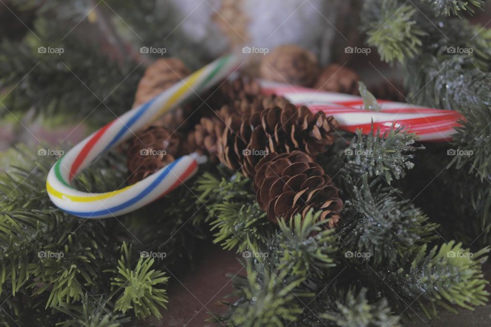 Christmas tree branches with cones and candy canes 