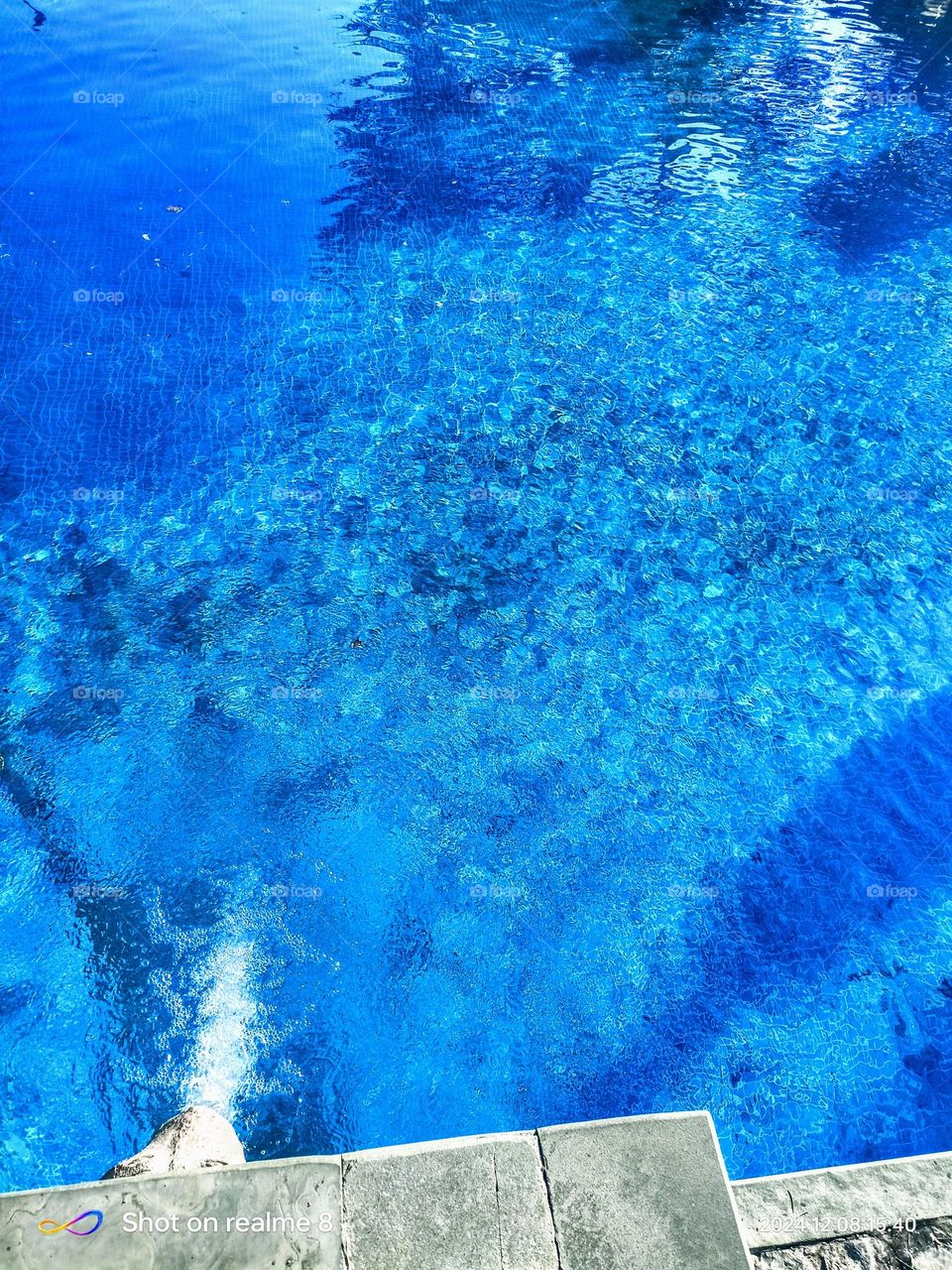 upload the photo of the month December