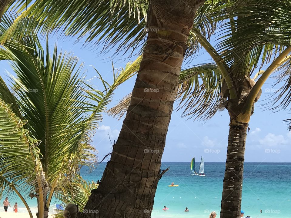 Occidental Caribe, Punta Cana, Dominican Republic