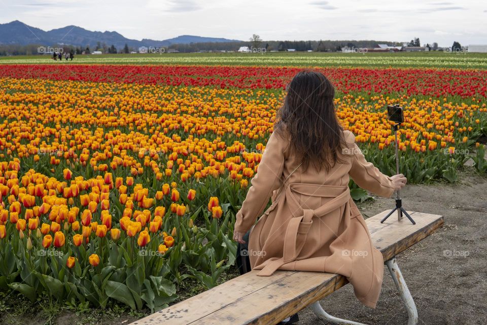 Woman doing selfie on the background of blooming tulip field 