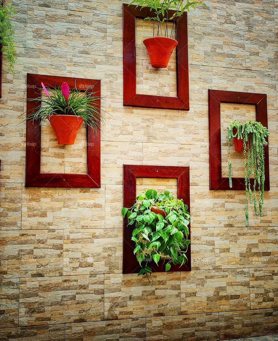 a beautiful vertical garden, decorated with varnished rectangular wooden frames.  A very special charm for this area of ​​light.