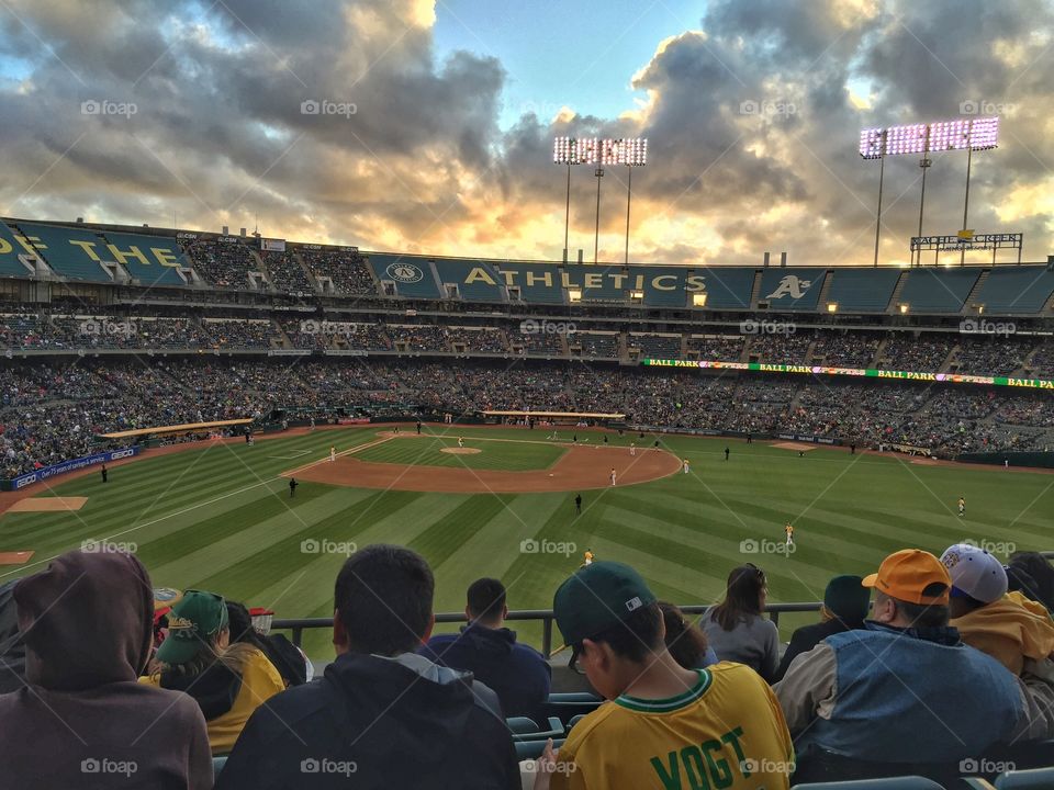 Fans deciding which baseball team they should root for.