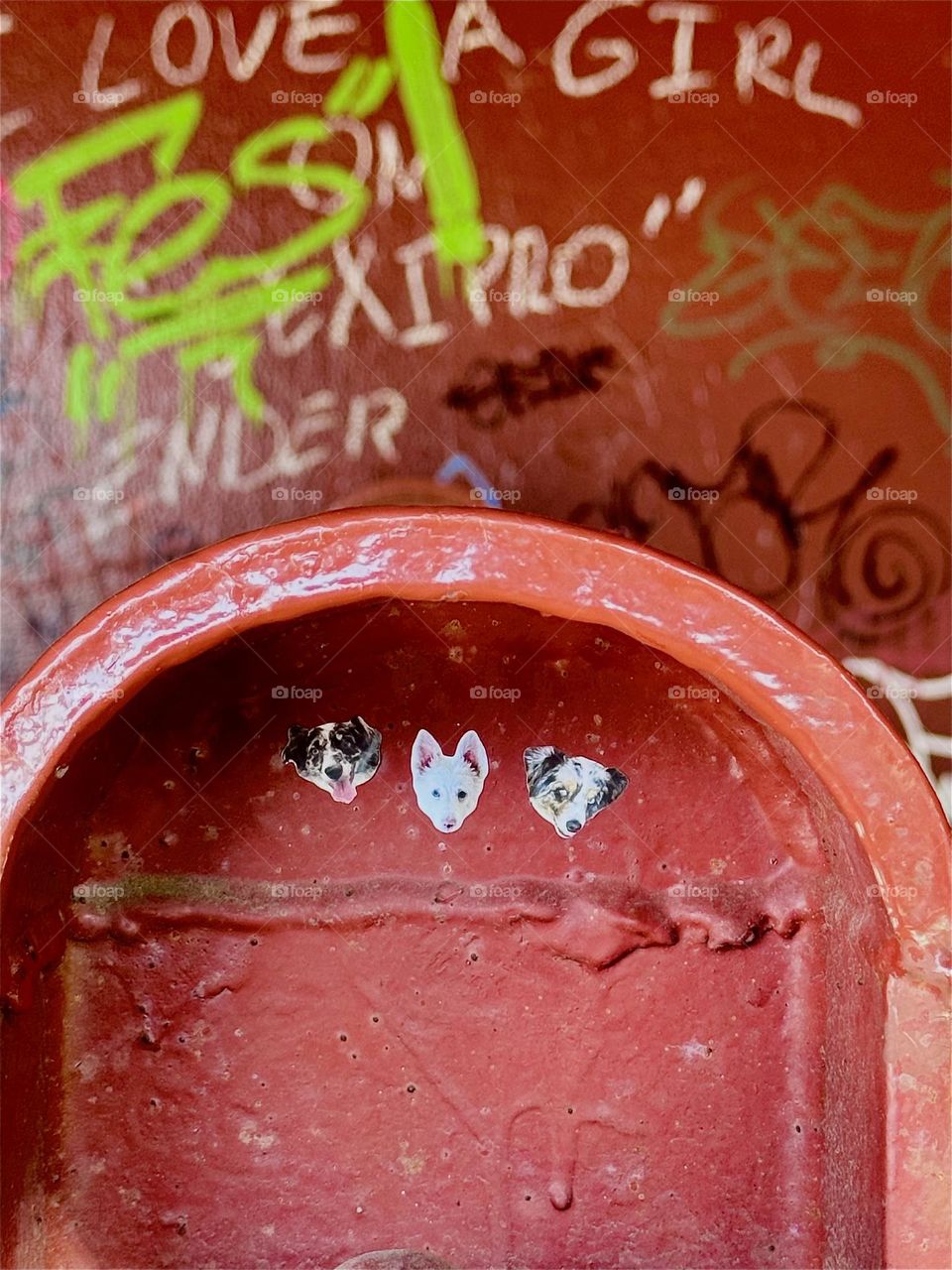 “LOVE A GIRL” says the graffiti tucked away in this snug little corner of the red metal staircase of the “Pulaski Bridge” at “Newtown Creek” in “Greenpoint”, Brooklyn. There are many interesting things to see here. 2024. Hypnotic Productions