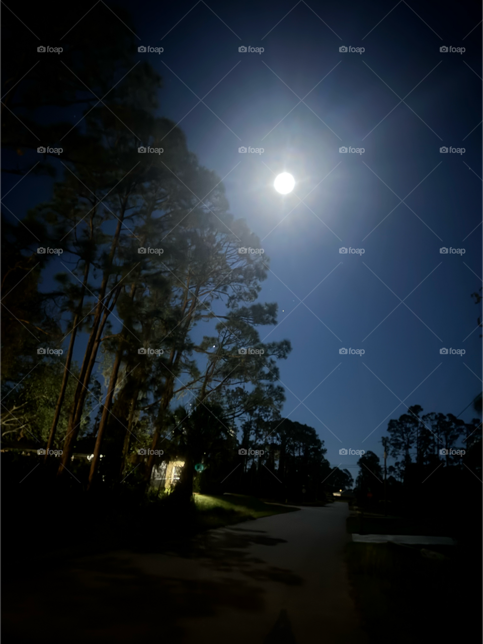 Twinkling windows in the moonlight.