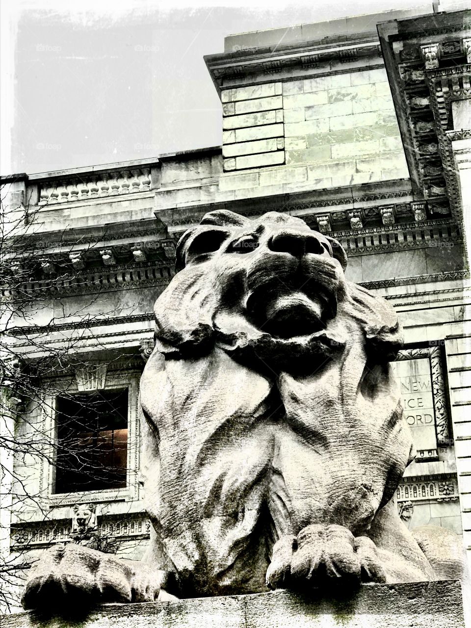 Lion statue in front of New York Public library in New York City 